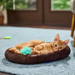 Frisco Self-Warming Bolster Kitten Bed, Brown