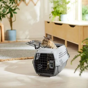 Frisco Two Door Top Load Plastic Dog & Cat Kennel, Grey, 20-in