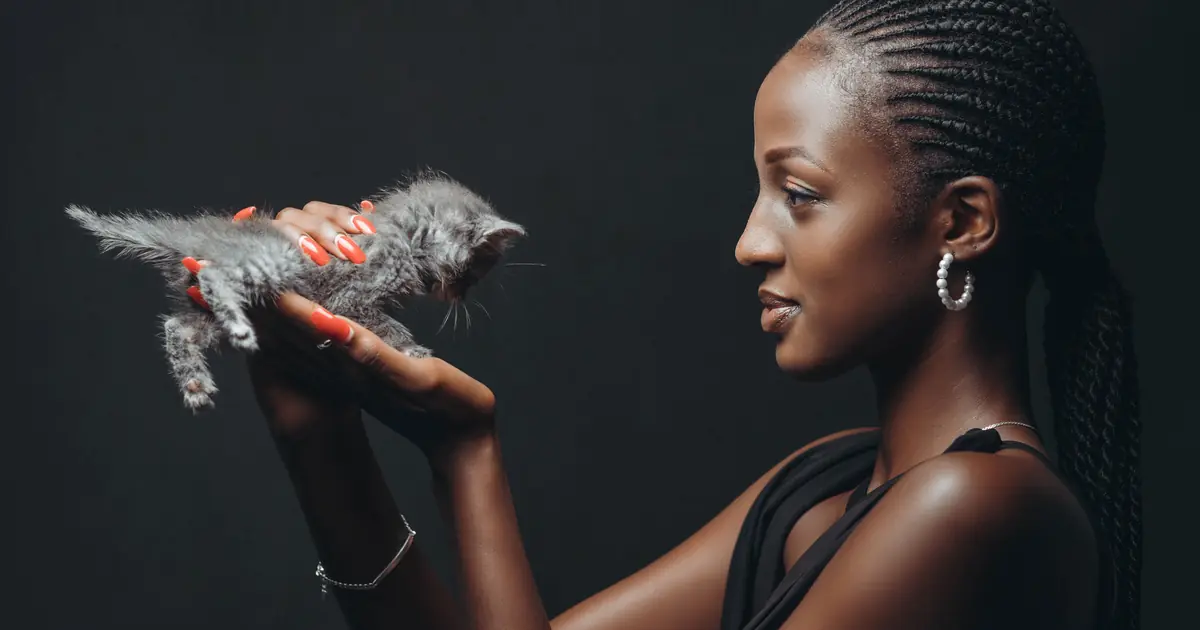 cats prefer a soft, higher-pitched, sing-song voice