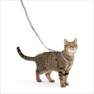 PetSafe Lilac & Deep Purple Harness & Bungee Cat Leash, Medium
