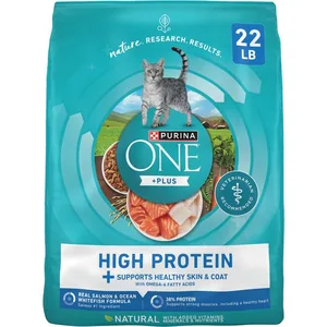 Purina ONE Plus Skin & Coat Health Salmon & Ocean Whitefish High-Protein Dry Cat Food