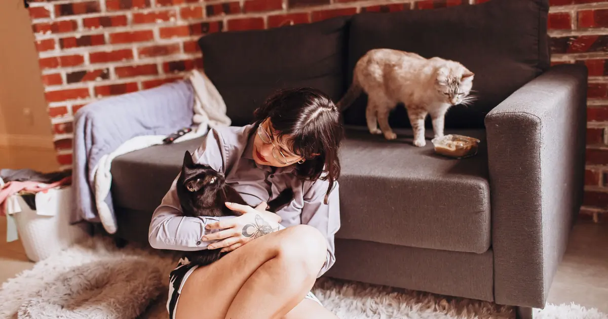 a cat listening to its owner's voice and tone