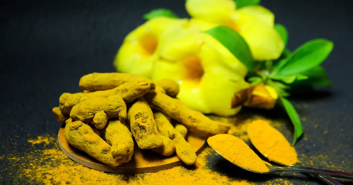 turmeric isn't toxic but offers cats little proven benefit
