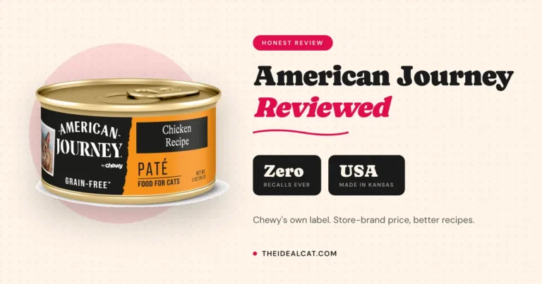 american journey cat food review