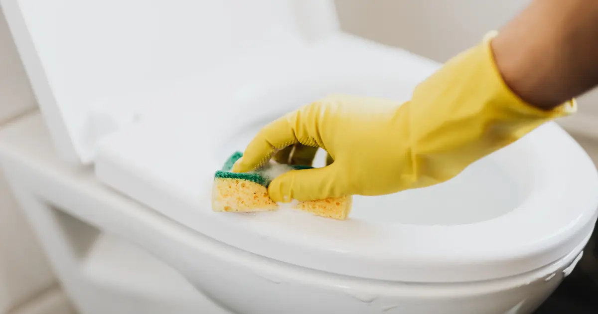 a clean cat litter box