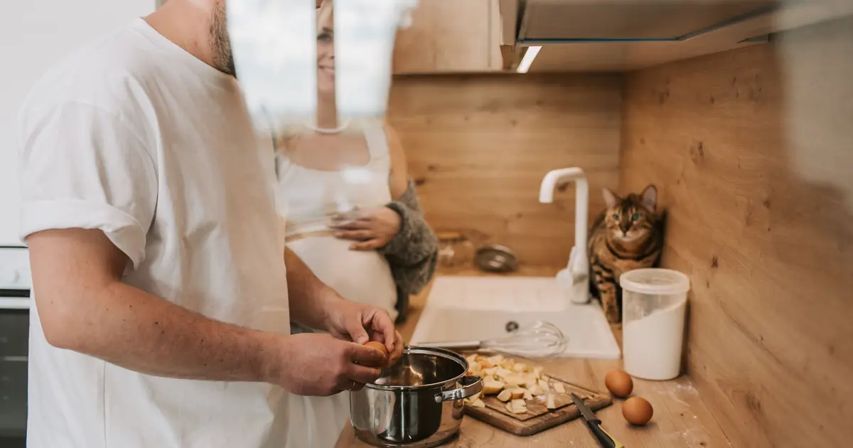 cat waiting beside a bowl of human grade cat food