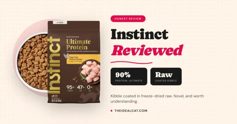 instinct cat food review