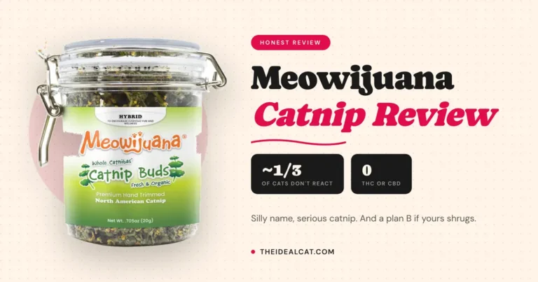 meowijuana catnip review