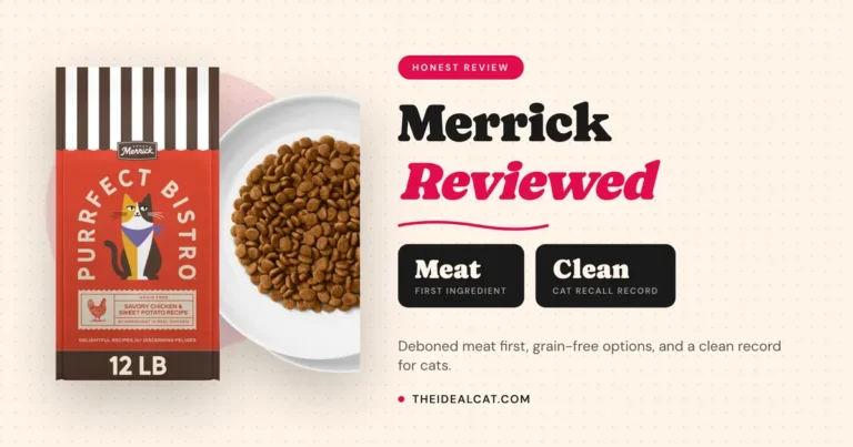 merrick cat food review