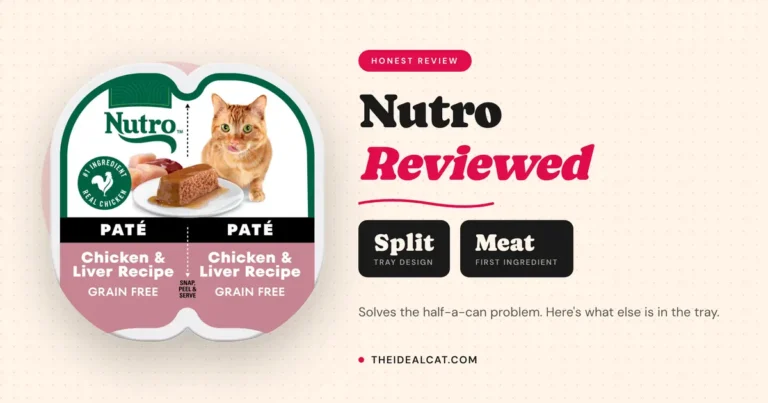 nutro cat food review