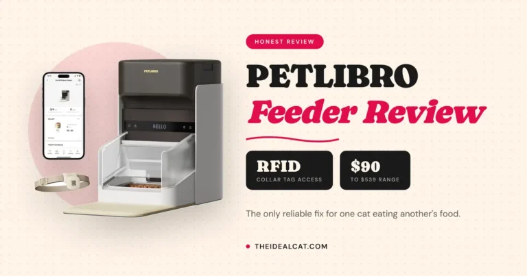 petlibro automatic cat feeder review