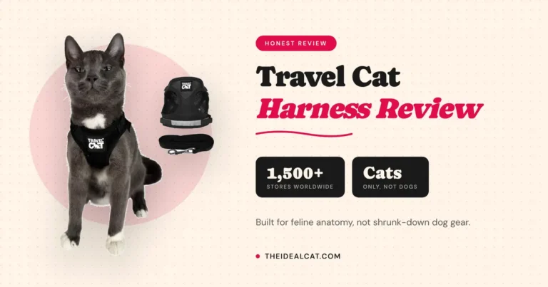 travel cat harness review