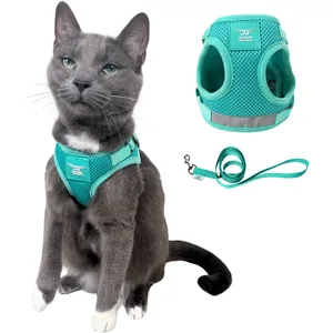 Travel Cat Jackson Galaxy Cat Harness & Leash Set, Aqua, Small: 13 to 17.7-in chest